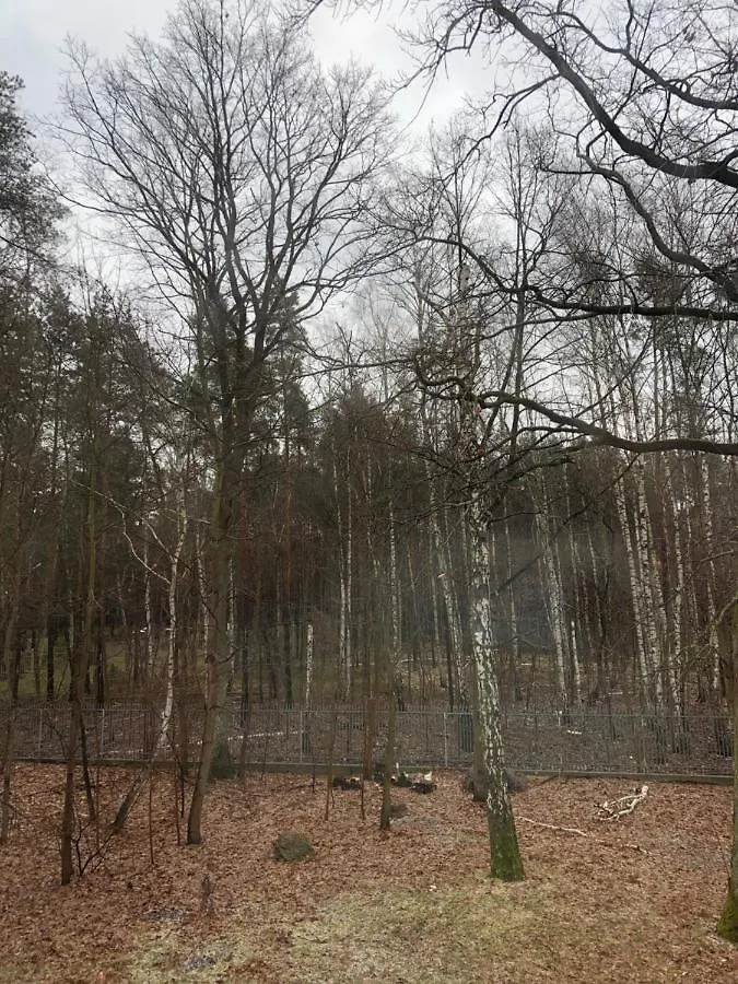 Homestay Ciche Pokoje W Domu Przy Parku Krajobrazowym Apartment Warsaw Poland